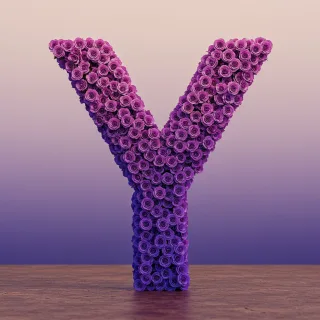 Purple rose — litera Y (wariant 2)