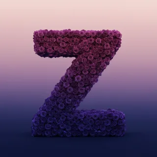 Purple rose — litera Z