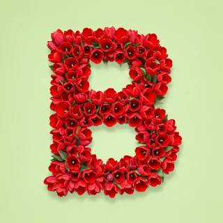 Red tulips — litera B (wariant 2)