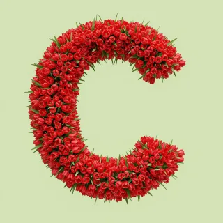 Red tulips — litera C