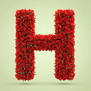 Red tulips — litera H (wariant 2)