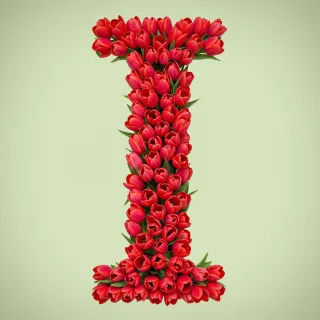 Red tulips — litera I (wariant 2)