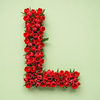 Red tulips — litera L