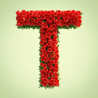 Red tulips — litera T