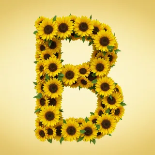 Sunflower 3 — litera B