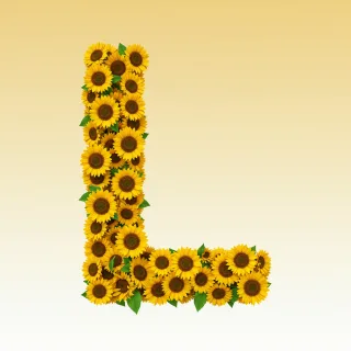 Sunflower 3 — litera L