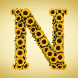 Sunflower 3 — litera N (wariant 2)