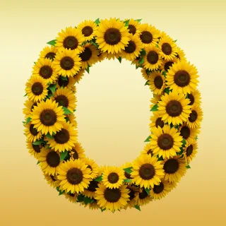 Sunflower 3 — litera O