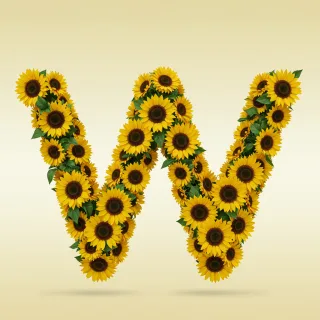 Sunflower 3 — litera W