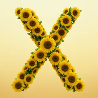Sunflower 3 — litera X (wariant 2)