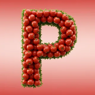 Tomatoes — litera P (wariant 2)