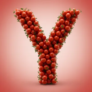 Tomatoes — litera Y (wariant 2)