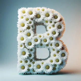 White daisy — litera B